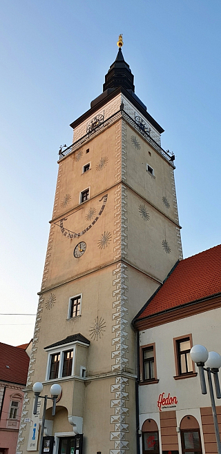 Trnava (Slovensko)