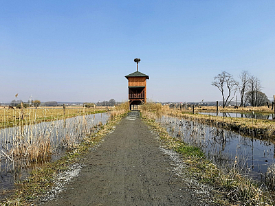 Kozmické ptačí louky na Hlučínsku (Česká republika)