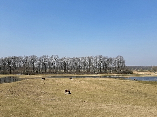 Kozmické ptačí louky na Hlučínsku (Česká republika)