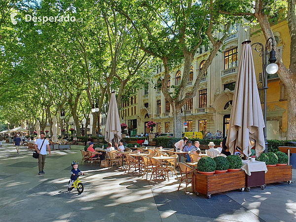 Palma de Mallorca (Španělsko)