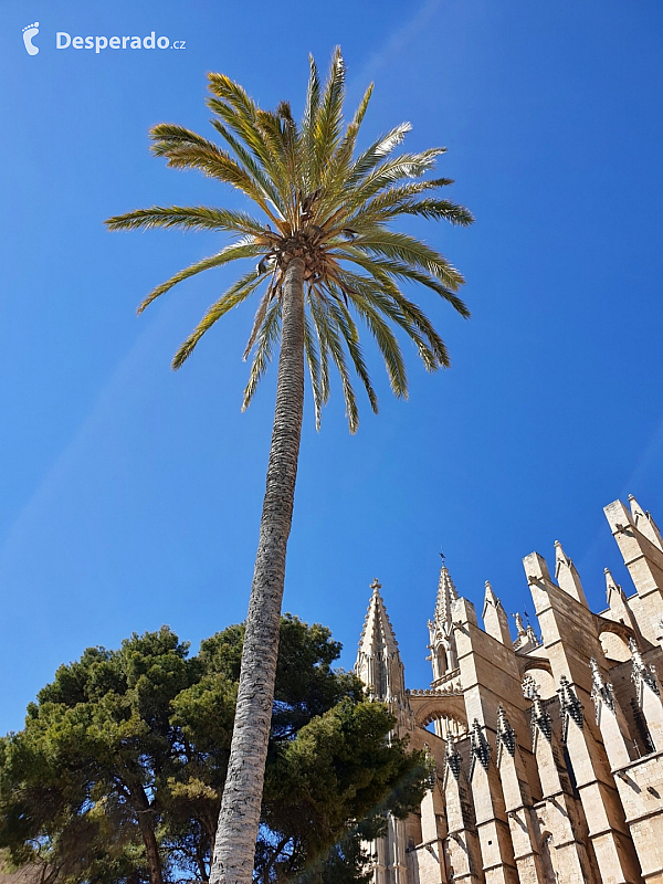 Palma de Mallorca (Španělsko)