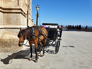 Palma de Mallorca (Španělsko)