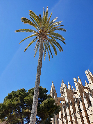 Palma de Mallorca (Španělsko)