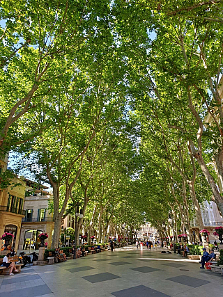 Palma de Mallorca (Španělsko)