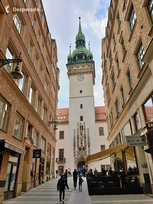 Stará radnice v Brně (Česká republika)