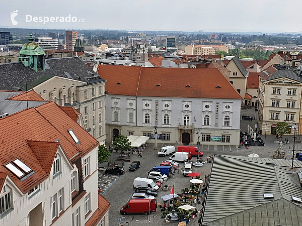 Stará radnice v Brně a pohled z radníční věže (Česká republika)