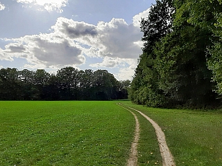Naučná stezka Odra – niva (Česká republika)