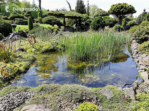 Miniarboretum u Holubů (Staříč - Česká republika)