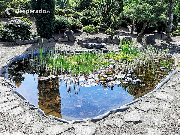 Miniarboretum u Holubů (Staříč - Česká republika)