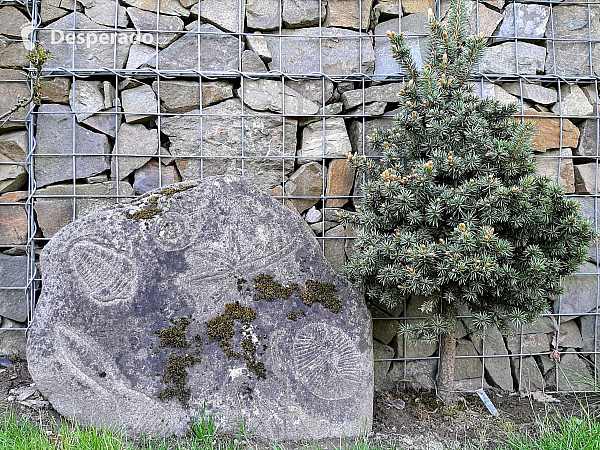 Miniarboretum u Holubů (Staříč - Česká republika)