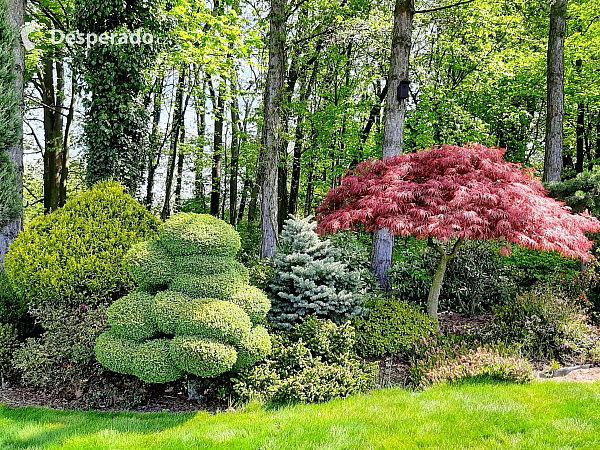 Miniarboretum u Holubů (Staříč - Česká republika)