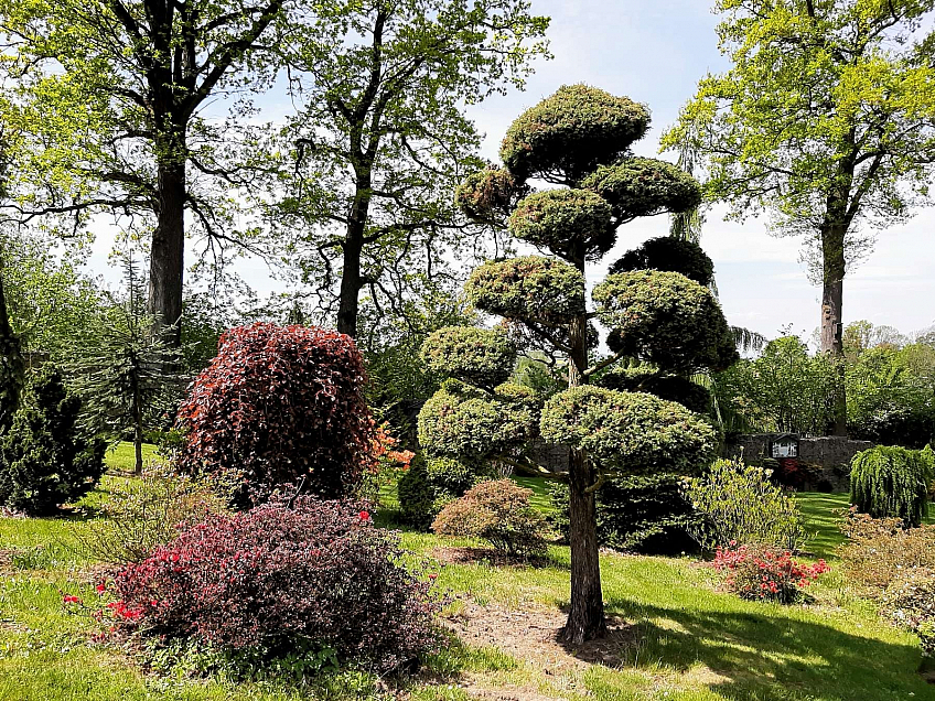 Miniarboretum u Holubů (Staříč - Česká republika)