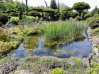 Miniarboretum u Holubů (Staříč - Česká republika)