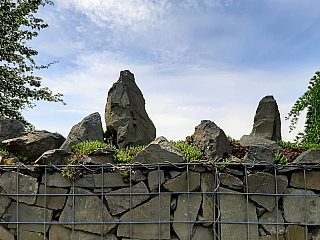 Miniarboretum u Holubů (Staříč - Česká republika)