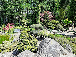 Miniarboretum u Holubů (Staříč - Česká republika)