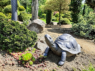 Miniarboretum u Holubů (Staříč - Česká republika)