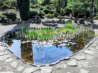 Miniarboretum u Holubů (Staříč - Česká republika)