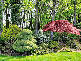 Miniarboretum u Holubů (Staříč - Česká republika)