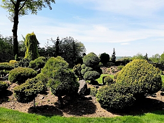 Miniarboretum u Holubů (Staříč - Česká republika)