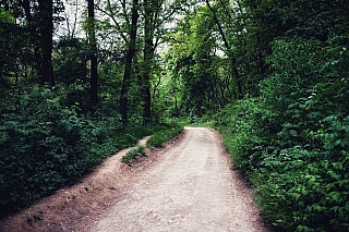 Cesta na Katarínku (Slovensko)