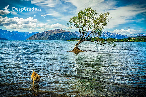 Jezero Wanaka (Nový Zéland)