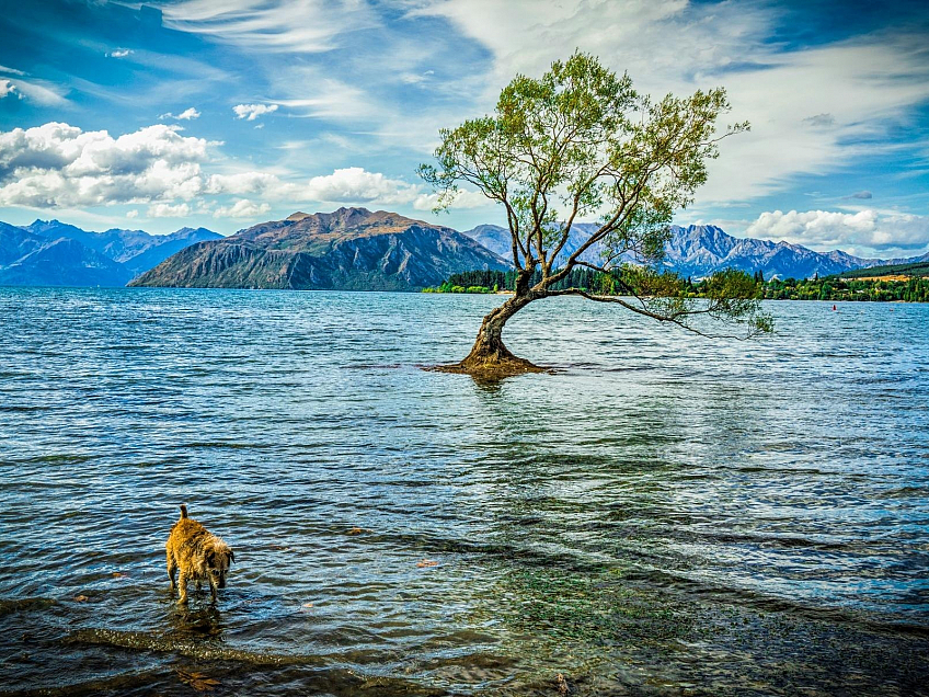 Jezero Wanaka (Nový Zéland)