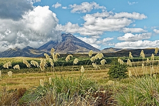 Národní park Tongariro (Nový Zéland)