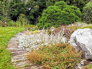 Botanická zahrada Ostravské univerzity (Ostrava - Česká republika)