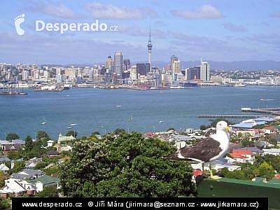 Auckland (Nový Zéland)