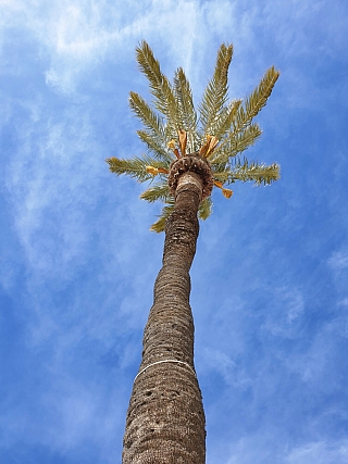 Port d´Alcudia (Mallorca - Španělsko)