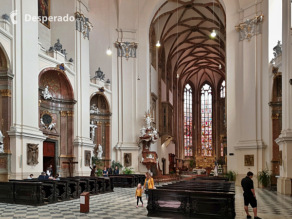 Katedrála svatého Petra a Pavla (Brno - Česká republika)