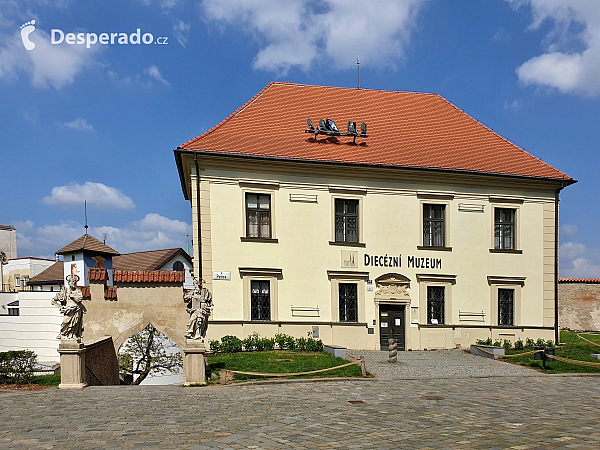 Katedrála svatého Petra a Pavla (Brno - Česká republika)