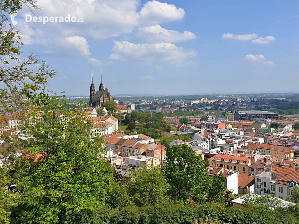 Katedrála svatého Petra a Pavla (Brno - Česká republika)