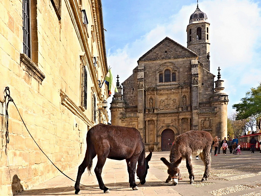 Úbeda - Sacra Capilla del Salvador (Andalusie - Španělsko)