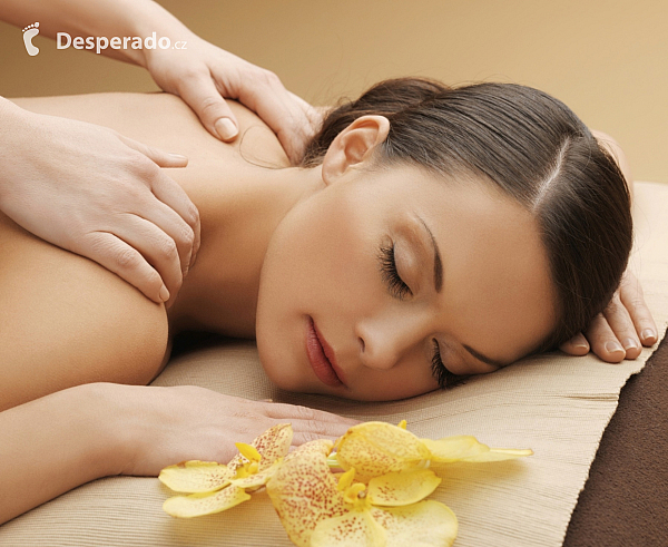 Wellness s jízdou na koni