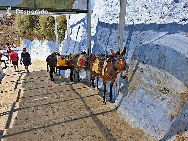 Fira na ostrově Santorini (Řecko)