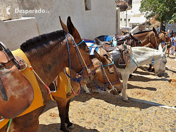 Fira na ostrově Santorini (Řecko)