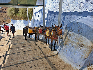 Fira na ostrově Santorini (Řecko)