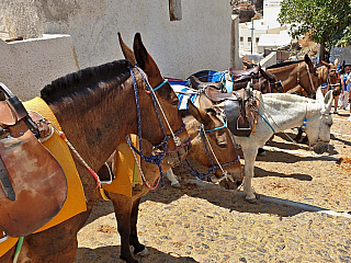 Fira na ostrově Santorini (Řecko)