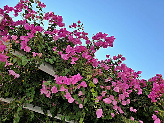 Oia na ostrově Santorini (Řecko)