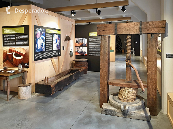 Muzeum olivového oleje v Pule (Istrie - Chorvatsko)