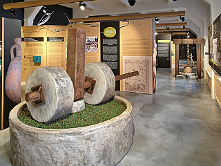 Muzeum olivového oleje v Pule