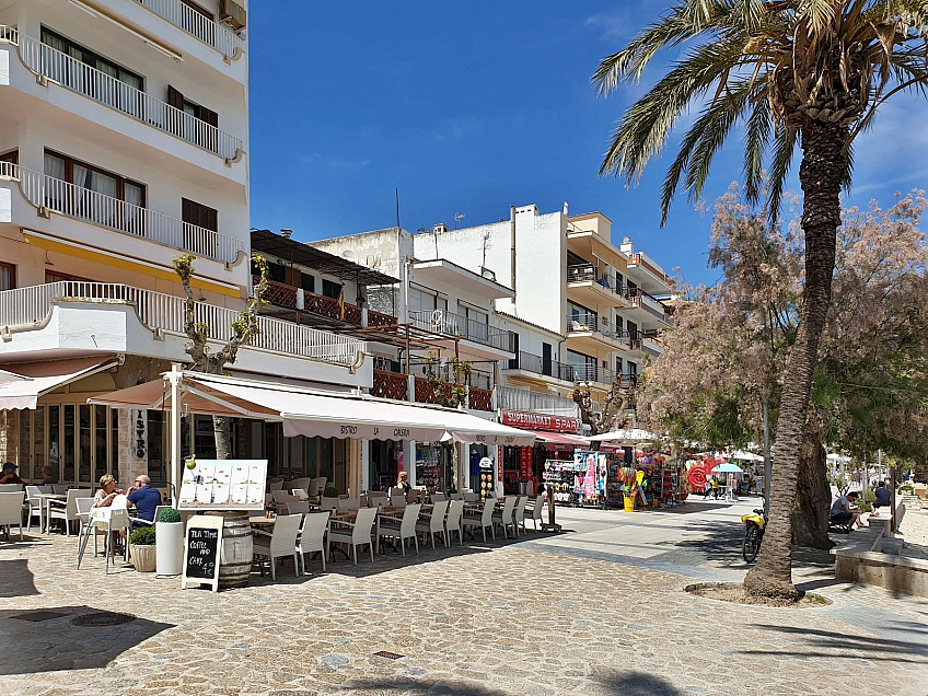 Port de Pollenca na ostrově Mallorka (Španělsko)