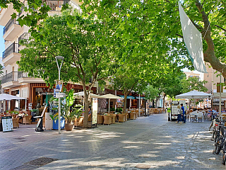 Port de Pollenca na ostrově Mallorka (Španělsko)