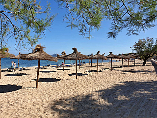 Port de Pollenca na ostrově Mallorka (Španělsko)