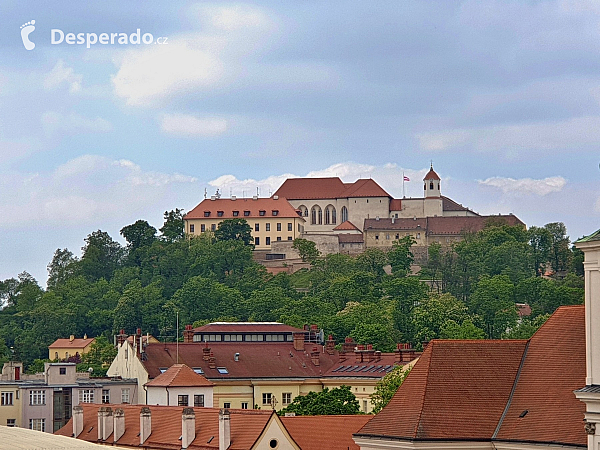 Stará radnice a výhled z radniční věže (Brno - Česká republika)