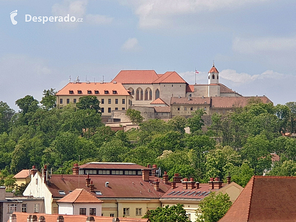 Stará radnice a výhled z radniční věže (Brno - Česká republika)