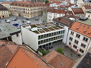 Stará radnice a výhled z radniční věže (Brno - Česká republika)