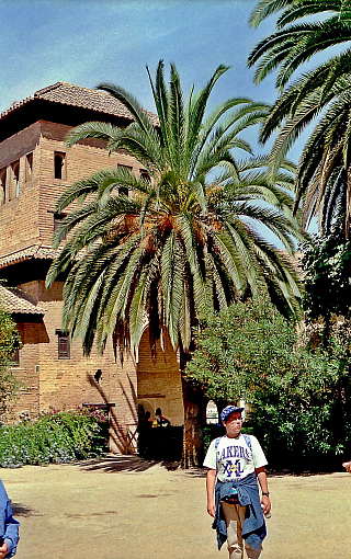 Alhambra (Andalusie - Španělsko)