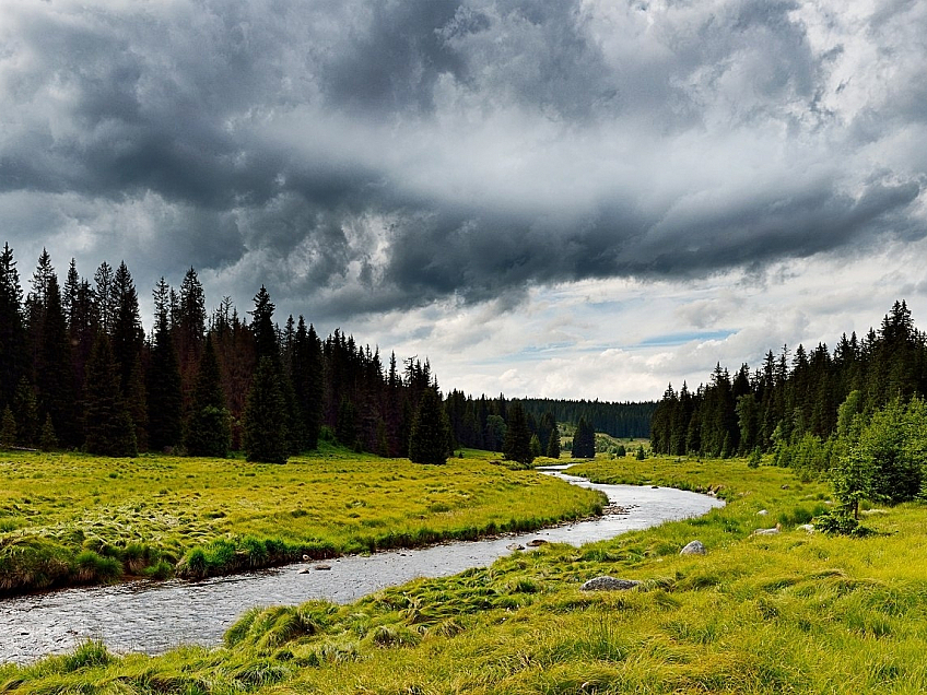 Šumava (Česká republika)